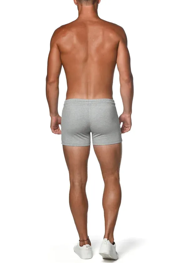 3.5" VAULT GYM SHORTS