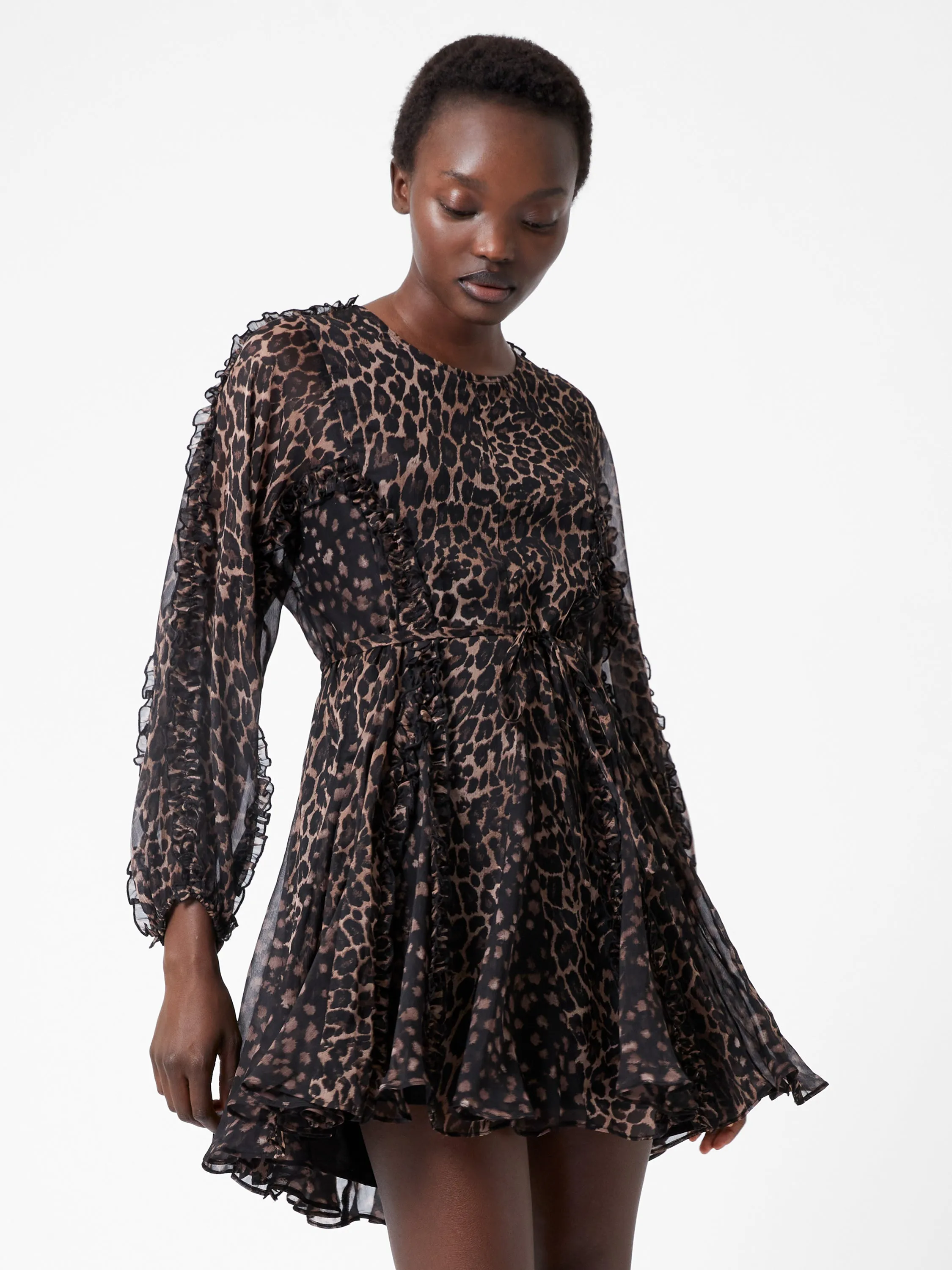 Emina Chiffon Leopard Print Long Sleeve Mini Dress