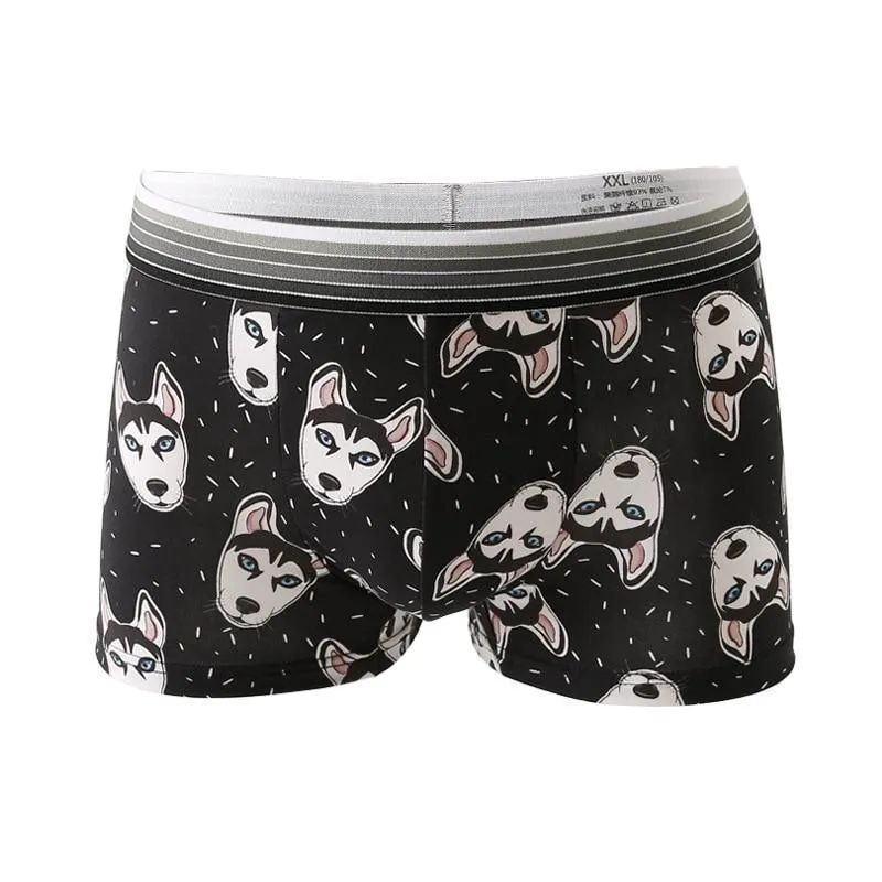 Underwear, Men's Boxer Shorts, Skulls